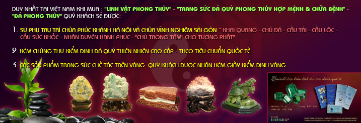 Phongthuyvadoisong.com